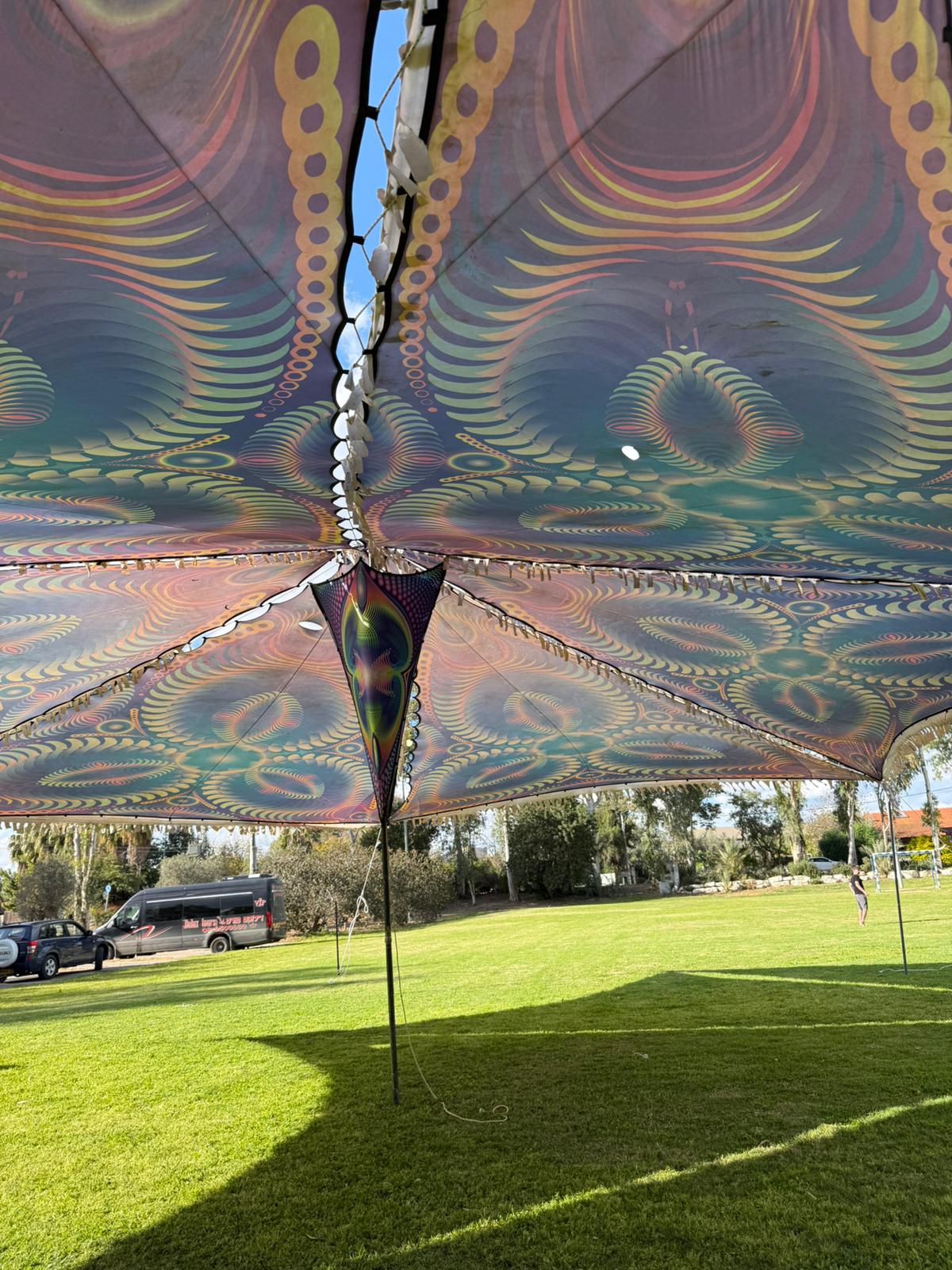 ציליות פסיכדליות 8